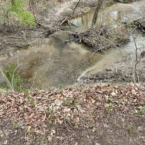 Meet your Posher, Vg